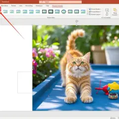 Jak przyciąć obraz w PowerPoint i uniknąć utraty jakości